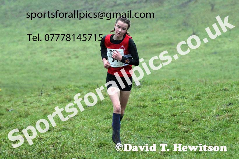 Girls under-15s, NECAA Junior Cross Country Relays, Thornley Farm, Peterlee, Saturday, December 12th. Photo: David T. Hewitson/Sports for All Pics